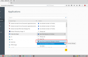 Use Citrix Connection Manager (default)