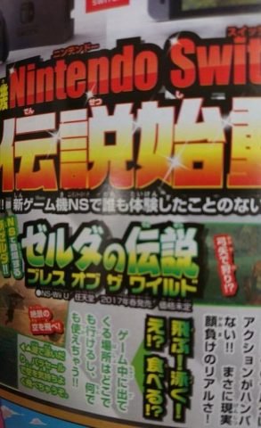 The Legend Of Zelda Breath of the Wild To Release In Spring 2017