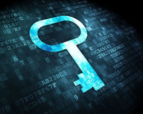 Avoiding online sniffers